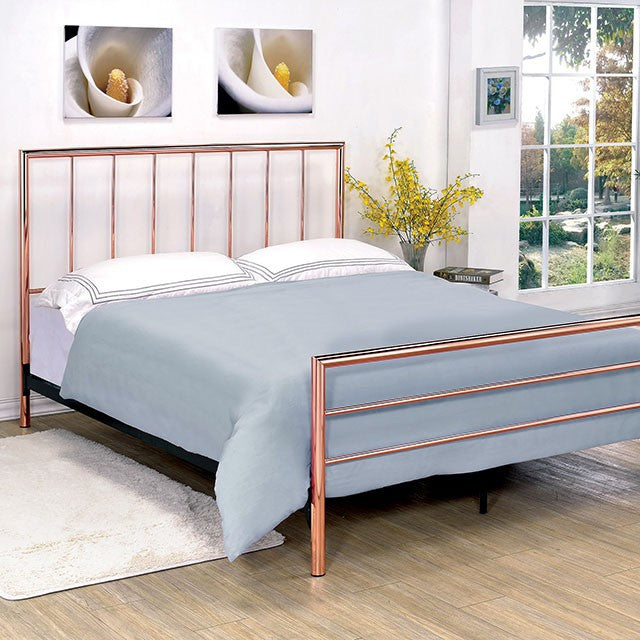 Furniture of America Diana Cal.King Metal Bed CM7939CK